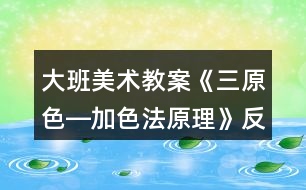 大班美術教案《三原色―加色法原理》反思