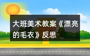 大班美術(shù)教案《漂亮的毛衣》反思