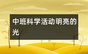 中班科學(xué)活動：明亮的光