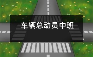 車輛總動(dòng)員（中班）