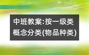 中班教案:按一級(jí)類概念分類(物品種類)