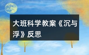 大班科學(xué)教案《沉與浮》反思