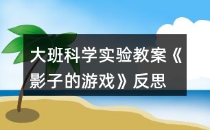 大班科學(xué)實驗教案《影子的游戲》反思