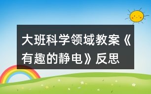 大班科學(xué)領(lǐng)域教案《有趣的靜電》反思