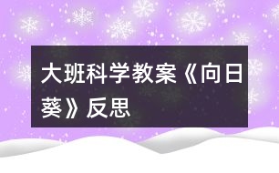 大班科學教案《向日葵》反思