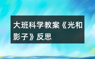 大班科學(xué)教案《光和影子》反思