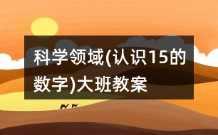 科學(xué)領(lǐng)域(認(rèn)識1——5的數(shù)字)大班教案