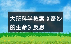 大班科學教案《奇妙的生命》反思