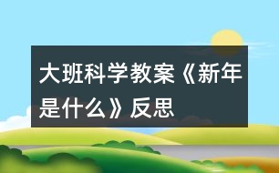 大班科學教案《新年是什么》反思