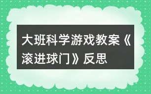 大班科學(xué)游戲教案《滾進(jìn)球門》反思