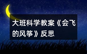 大班科學教案《會飛的風箏》反思