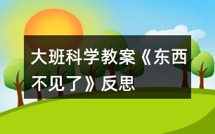 大班科學(xué)教案《東西不見(jiàn)了》反思