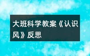 大班科學(xué)教案《認(rèn)識(shí)風(fēng)》反思