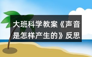 大班科學教案《聲音是怎樣產生的》反思