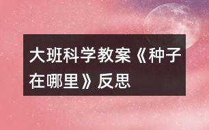 大班科學教案《種子在哪里》反思