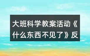 大班科學(xué)教案活動《什么東西不見了》反思