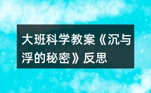 大班科學教案《沉與浮的秘密》反思