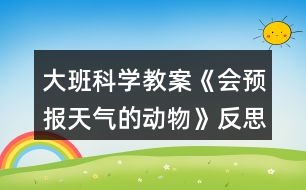 大班科學教案《會預報天氣的動物》反思