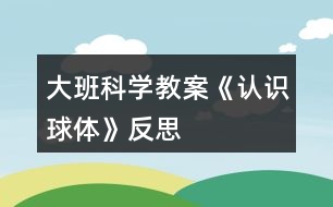 大班科學(xué)教案《認(rèn)識球體》反思