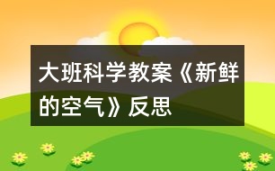 大班科學(xué)教案《新鮮的空氣》反思