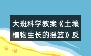 大班科學(xué)教案《土壤植物生長(zhǎng)的搖籃》反思