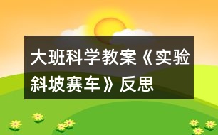 大班科學(xué)教案《實驗斜坡賽車》反思