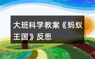 大班科學(xué)教案《螞蟻王國(guó)》反思