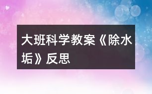 大班科學教案《除水垢》反思