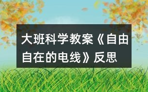 大班科學教案《自由自在的電線》反思