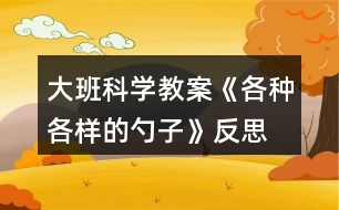 大班科學(xué)教案《各種各樣的勺子》反思