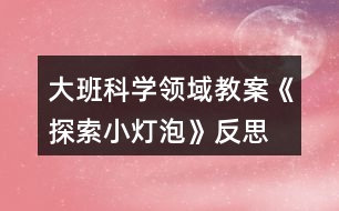 大班科學(xué)領(lǐng)域教案《探索小燈泡》反思