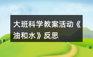 大班科學(xué)教案活動(dòng)《油和水》反思