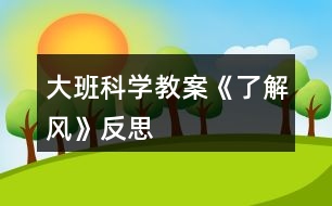 大班科學(xué)教案《了解風(fēng)》反思