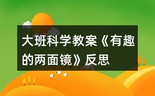 大班科學(xué)教案《有趣的兩面鏡》反思