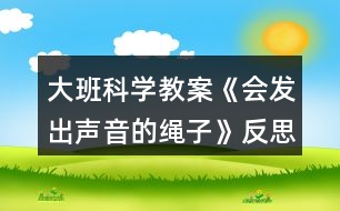 大班科學教案《會發(fā)出聲音的繩子》反思