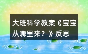 大班科學教案《寶寶從哪里來？》反思