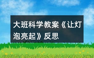 大班科學教案《讓燈泡亮起》反思