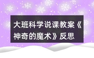 大班科學(xué)說課教案《神奇的魔術(shù)》反思