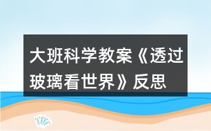 大班科學(xué)教案《透過玻璃看世界》反思