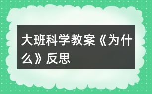 大班科學教案《為什么》反思