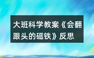 大班科學教案《會翻跟頭的磁鐵》反思