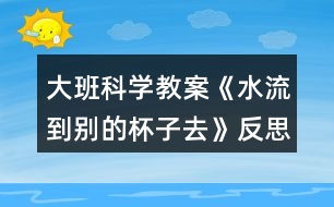 大班科學教案《水流到別的杯子去》反思