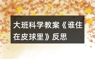 大班科學(xué)教案《誰住在皮球里》反思