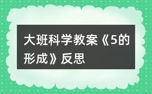 大班科學(xué)教案《5的形成》反思