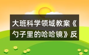 大班科學領(lǐng)域教案《勺子里的哈哈鏡》反思