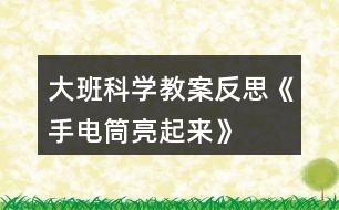 大班科學(xué)教案反思《手電筒亮起來》