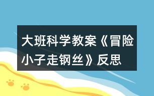 大班科學(xué)教案《冒險小子走鋼絲》反思