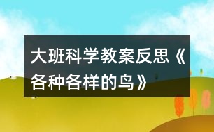 大班科學(xué)教案反思《各種各樣的鳥》