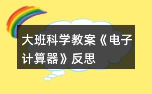 大班科學教案《電子計算器》反思