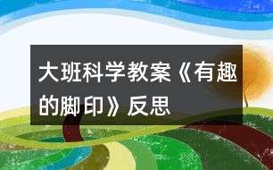 大班科學教案《有趣的腳印》反思